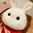 thumbnail image 5 of Lalafanfan conejo de peluche suave para niña, muñeco Kawaii de 30cm con gafas y ropa, regalo2149, 5 of 5