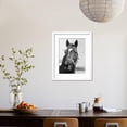 thumbnail image 4 of Man O War Relaxing on His Farm, Animals Framed Art Print Wall Art by Bettmann Sold by Art.Com, 4 of 6