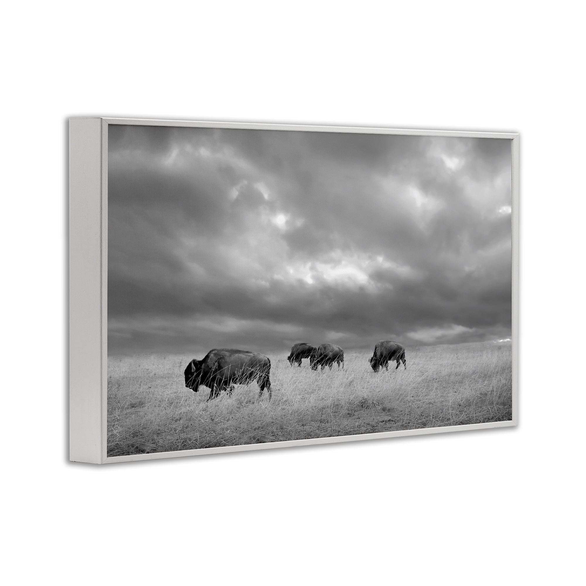 Stupell Industries Bisons Under an Autumn Sky White Framed Giclee Art, design by Steve Toole