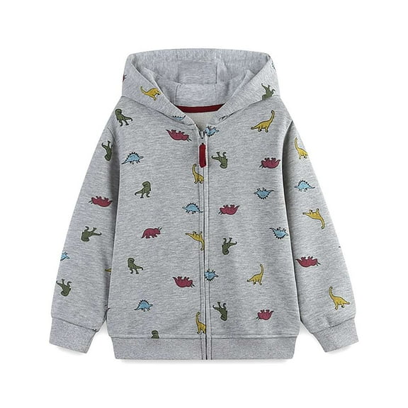 Aolyty Little Boys Zip Up Jacket Autumn Clothes 4T