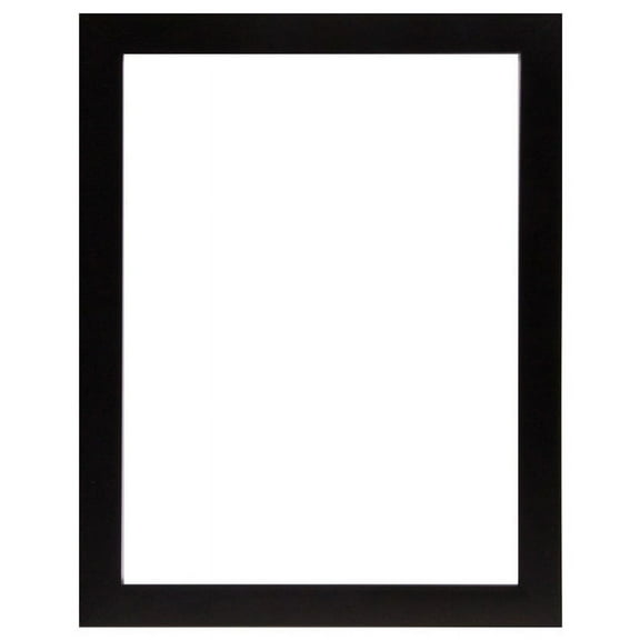 Frame USA Simply Poly Posterframe (12 x 16 inches)