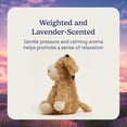 thumbnail image 3 of Warmies Microwavable Weighted Stuffed Animal, Lavender-Scented Donkey Plushie, 1.5 lbs, 3 of 6