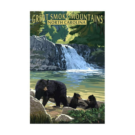 Great Smoky Mountains, North Carolina - Falls Print Wall Art By Lantern (Best Fall Hikes Great Smoky Mountains)