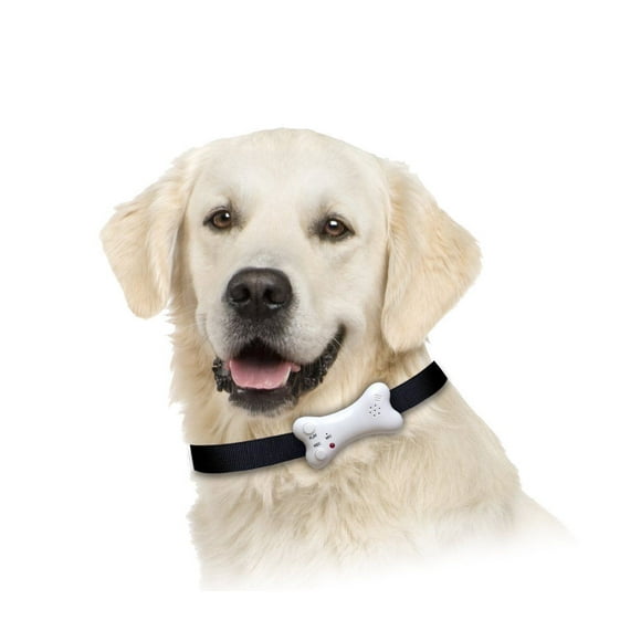 Buster's Bone Voice Recording Pet I.D. Dog's, Owner's Name And Contact Information 30 Seconds Recording Time
