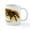 White, variant on CafePress - Mexican Red Kneed Tarantula Mug - 11 oz Ceramic Mug - Novelty Coffee Tea Cup