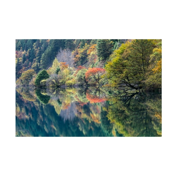 Trademark Fine Art Dorit Berkovits Double fall Canvas Wall Art