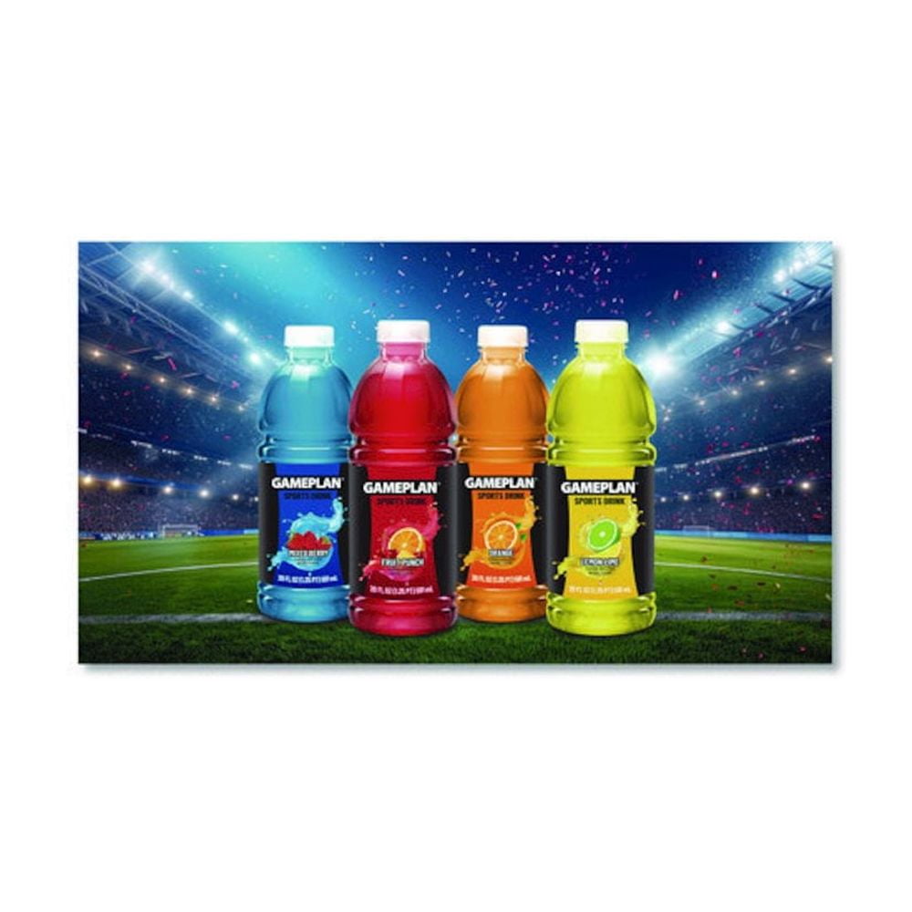 Niagara Gameplan Sports Drink, Fruit Punch, 20 oz Bottle, 24/Carton