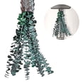 thumbnail image 4 of 10 piezas eucalipto seco para aliviar el estrés del baño del (40-45 cm), 4 of 9
