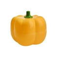 thumbnail image 1 of Caja de Almacenamiento Al Aire Libre Wansheng Caja de Caramelo de Calabaza Doble Capa con Compartimentos de Tapa Caja de Almacenamiento de Bandeja de Frutas, 1 of 6