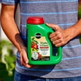 thumbnail image 3 of Miracle-Gro Shake 'n Feed Tomato, Fruit and Vegetable Plant Food, 4.5 lbs., 3 of 14