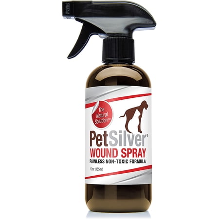 PetSilver Wound Spray with Chelated Silver  Made in USA  Vet Formulated  All Natural Pain Free Formula  Relief for Hot Spots  Wounds and Burns  12 Ounces