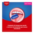 thumbnail image 4 of Cepillo Dental Colgate Extra Clean Limpieza Efectiva Entre Dientes 2 Pzas, 4 of 5