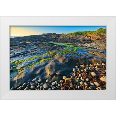 Jaynes Gallery 14x11 White Modern Wood Framed Museum Art Print Titled - Canada-Nova Scotia Rocky shoreline along Bay of Fundy
