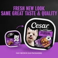 thumbnail image 4 of Cesar Loaf & Topper in Sauce Wet Dog Food, Filet Mignon Flavor, Bacon & Potato, 24 Count, 4 of 14