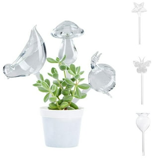 22+ Plant Watering Glass Bulbs