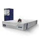 thumbnail image 1 of Colchón Spring Air King Size Pro | Tecnología Hyper Luxe Foam Premium y Cool Memory Foam | Sleep Fitness | Firmeza Media | Funda Hipoalergénica Super Fresca | 100 Noches de Prueba | 32 cm Altura, 1 of 9