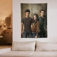 thumbnail image 6 of The Twilight Saga Tapestry Wall Hanging Blanket Soft Tablecloth Wall Hanging Tapestries Home Decor Posters for Home Dormitory, 6 of 8