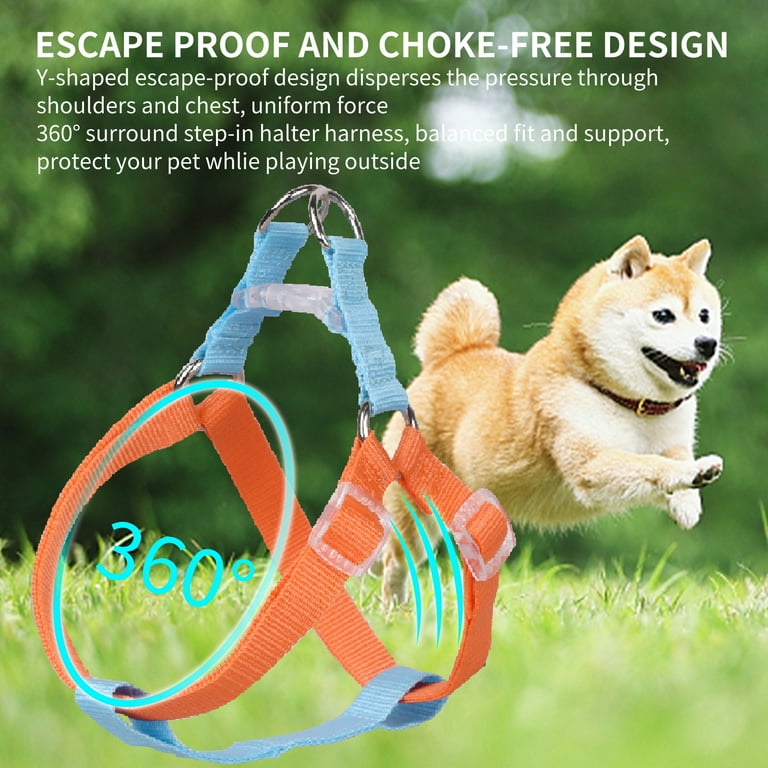 Dog Leash Burberry Harness Small Dog Burberry Dog Harness Puppy