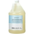thumbnail image 2 of Ginger Lily Farms Club & Fitness Moisturizing Shampoo for All Hair Types, 100% Vegan & Cruelty-Free, Rain Water Scent, 1 Gallon (128 fl oz) Refill, 2 of 7