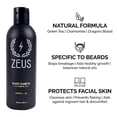 thumbnail image 3 of ZEUS Premium Mens Grooming Set - Complete Beard Upkeep Kit - Shampoo, Conditioner, Oil, Balm, Comb, Brush! (VERBENA LIME), 3 of 8