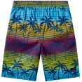 thumbnail image 6 of Big Chill Boys Swim Set - UPF50+ Short Sleeve Rash Guard Swim Shirt and Swim Trunks 2 Piece Set, 6 of 7