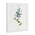 thumbnail image 2 of Stupell Industries Transitional Delicate Blue Sprigs Canvas Art, 16 x 20, by Sally Swatland, 2 of 8