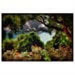 Trademark Fine Art "Water Plain" Canvas Art by Lois Bryan