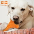 thumbnail image 3 of Nylabone Power Chew Axis Bone Dog Chew Toy Bacon X-Large (1 Count), 3 of 10