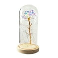 thumbnail image 1 of Birthday Gift Beautiful Preserved Rose Flower LED Light with Glass Cover Wooden Base Valentines Day Wedding Gift, 1 of 7