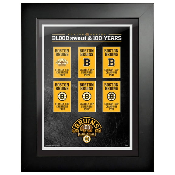 Boston Bruins Centennial 12" x 16" Banners Framed Print