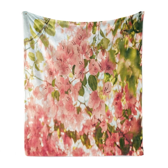 Spring Soft Flannel Fleece Blanket, Bougainvillea Flowers Branches in Sunny Summer Blossoms Nature Park View, Cozy Plush for Indoor and Outdoor Use, 60" x 80", Pale Pink Olive Green, by Ambesonne