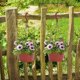 thumbnail image 3 of Paquete de 10 macetas de plástico para plantas de jardín, autorriego, colgantes, para plantas de interior y exterior, 3 of 5