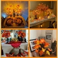 thumbnail image 5 of TETOU 2Pack Lighted Fall Maple Tree, USB & Battery Operated Artificial Fall Light up Trees with 48LED & timer, Fall Decorations for Home Party Indoor Outdoor Thanksgiving Autumn Har'vest, 5 of 6