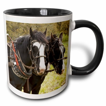 3dRose Oregon, Champoeg State Park, Shire horse team - US38 RBR0239 - Rick A. Brown - Two Tone Black Mug,