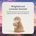 thumbnail image 4 of warmies 13” Otter Stuffed Animal, Microwavable Heated Plushies and Weighted Soft Plush Toys, 4 of 7