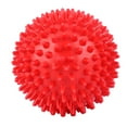 thumbnail image 2 of Bola de masaje con punta rodillo de plástico duradero bolas para el cuerpo Fitness ANGGREK  Otros, 2 of 8