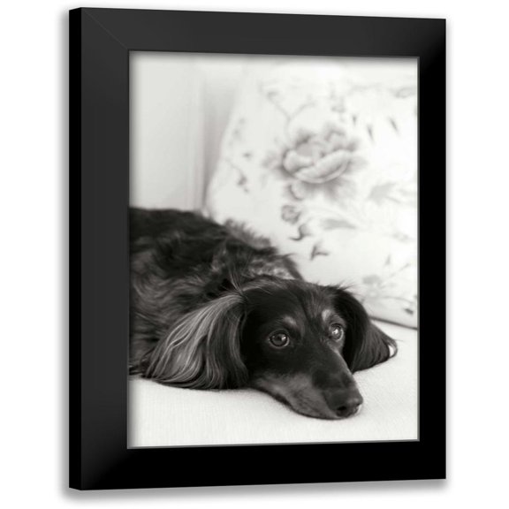 Millet, Karyn 11x14 Black Modern Framed Museum Art Print Titled - Dachshund