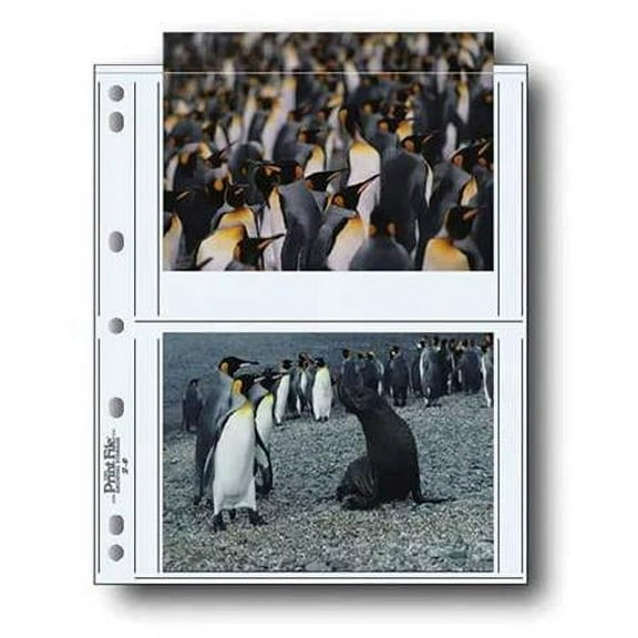 Photo Pages Holds Four 5x7" Prints, Pack of 25