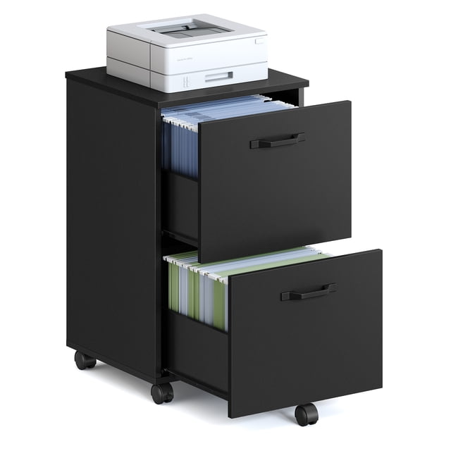VASAGLE 2-Drawer File Cabinet, Small Rolling Filing Cabinet for Home Office, Printer Stand, for A4, Letter-Size Documents, Matte Black