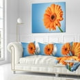 thumbnail image 2 of Designart Orange Daisy Gerbera Flower on Blue - Floral Throw Pillow - 18x18, 2 of 4