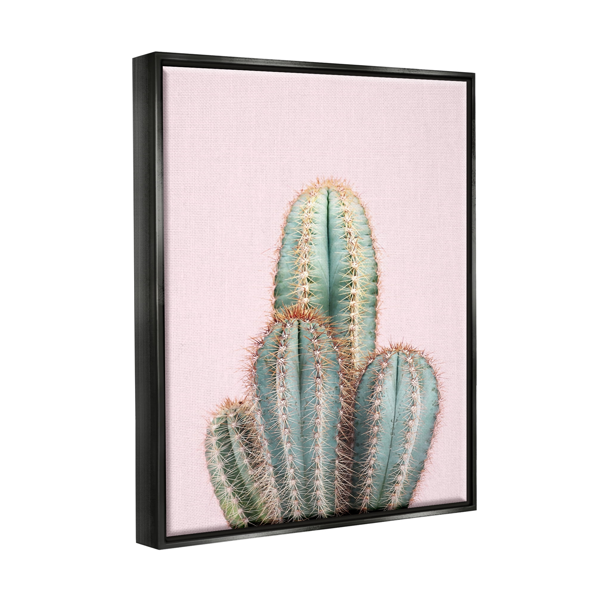 Stupell Industries Blush Cactus Vegetation Botanical & Floral Photography Black Floater Framed Art Print Wall Art, 17 x 21