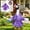 Purple, variant on Garden Statue Goose Spa Robe Outfit Cover, Hair Roller Fabric Lawn Porch Sculpture Casual Dressing Kit