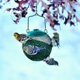 thumbnail image 5 of Perky-Pet Squirrel Proof Wild Seed Ball Bird Feeder, 1.12 lb, Green, 5 of 5