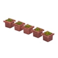 thumbnail image 4 of 5 Unidades 1/150 Modelo Cuadrado Camas DIY Múltiples Cajas De Combinación Para La Decoración Sunnimix Macizos de flores cuadrados en miniatura, 4 of 6
