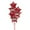Red, variant on PMU Graduation Bouquet with (3) 18 Inch Congrats Grad Star & (3) 22 Inch Solid Star Shape White Mylar Balloons Pkg/6