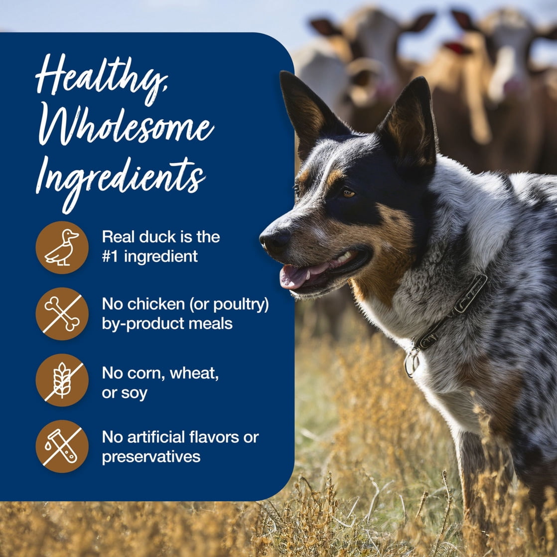 Blue Buffalo Blue's Stew Natural Wet Dog Food, Hunter's Stew, 12.5-oz. Cans