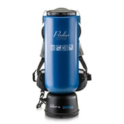 Prolux 10 Quart Commercial BackPack فراغ