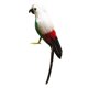 thumbnail image 1 of Guacamayo artificiales, loro de pájaro para decoración de jardín, accesorio Zulema Estatua de loro, 1 of 7