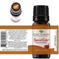 thumbnail image 5 of Plant Therapy Essential Oil | Spiced Cider Holiday Blend Oil | 100% Pure, Undiluted, Therapeutic Grade 10 mL (1/3 oz), 5 of 5