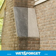 Wet & Forget Outdoor Xtreme Reach Moss, Mold, Mildew, and Algae Stain Remover Hose End, 48 oz